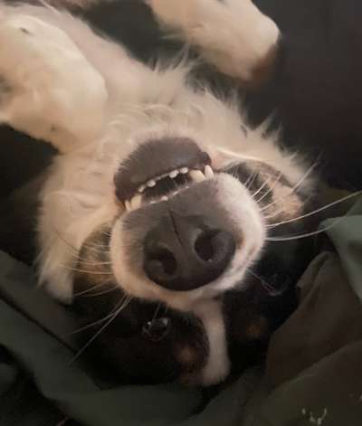 FOTO-Challenge  NR. 91: Die pure Entspannung-Beitrag-Bild