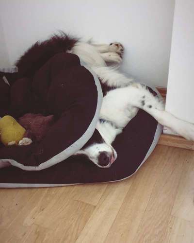 Challenge 21 - wo bin ich : )-Beitrag-Bild