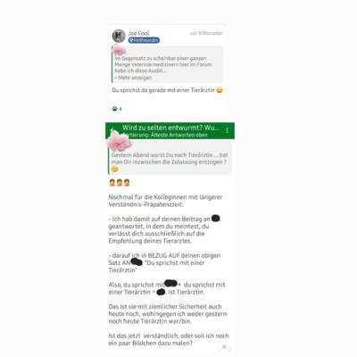 Zwerghunde und die "bösen Grossen"-Beitrag-Bild