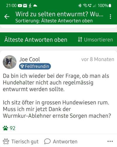 Zwerghunde und die "bösen Grossen"-Beitrag-Bild