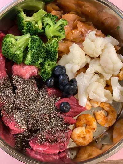 Zeigt her Eure Futternäpfe-Beitrag-Bild