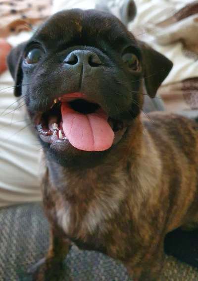 Das beste grinsefoto-Beitrag-Bild