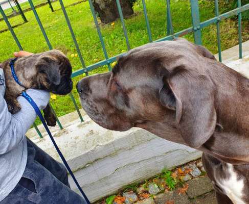 155. FotoChallange * David und Goliath *-Beitrag-Bild