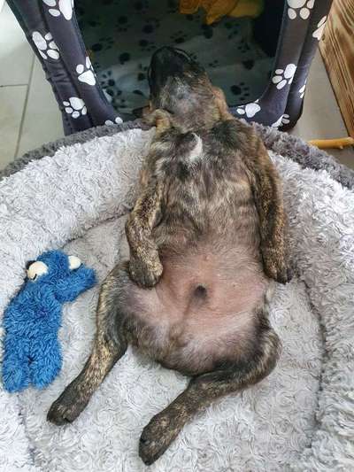 Fotochallenge Nr.65-Beitrag-Bild