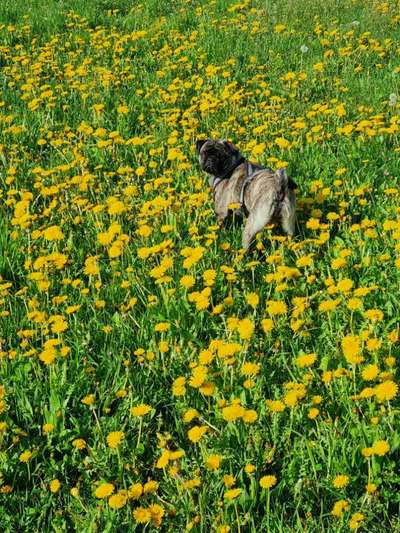 Fotowettbewerb Natur-Beitrag-Bild