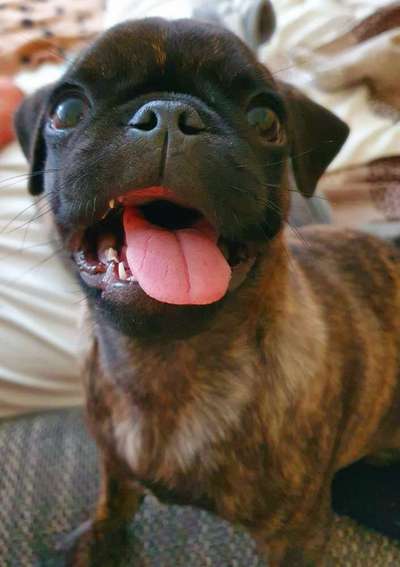 Handy-Foto Challange Nr. 10-Beitrag-Bild