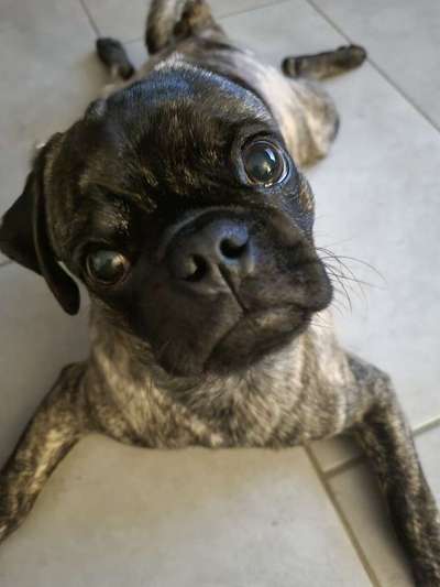 Von oben-Beitrag-Bild