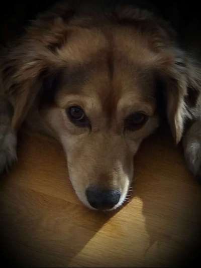 Lieblingsbild-Beitrag-Bild