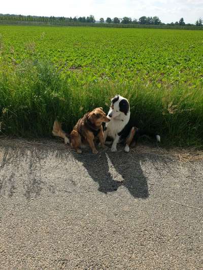 Fotochallange Nr. 46

Schattenspiele BEENDET!!!!!-Beitrag-Bild