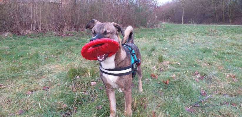 Lieblings Schnappschuss?-Beitrag-Bild