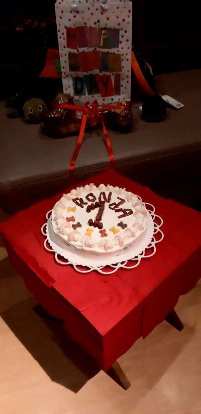 Berner Sennen-Beitrag-Bild