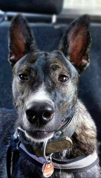 Fotochallange Nr. 57     PORTRÄT.   Beendet!!!!!!!!-Beitrag-Bild