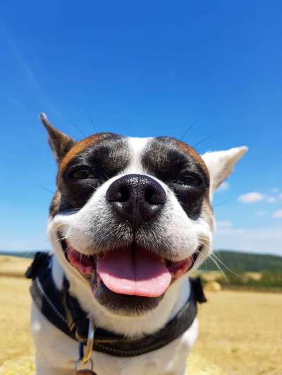 Fotochallange Nr. 57     PORTRÄT.   Beendet!!!!!!!!-Beitrag-Bild