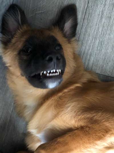 Fotochallange 84-Beitrag-Bild