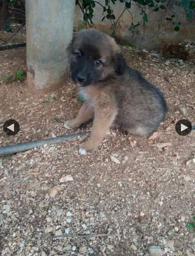 Lieblingsbild-Beitrag-Bild