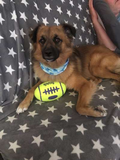 Lieblingsbild-Beitrag-Bild