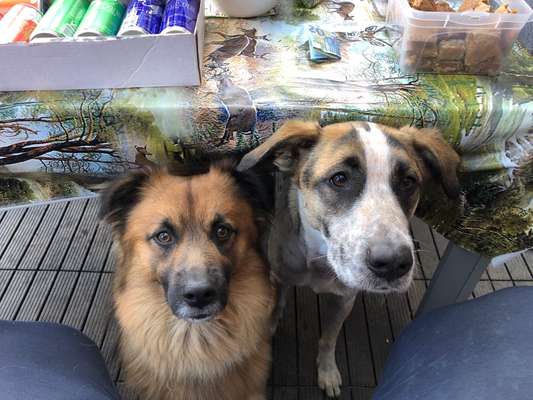 Lieblingsbild-Beitrag-Bild