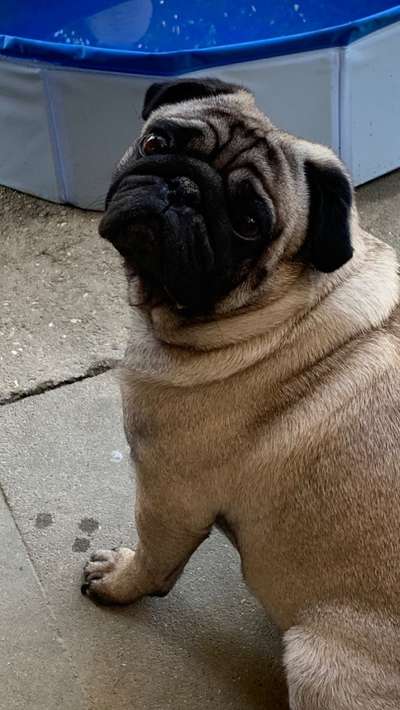 Lieblingsbild :D-Beitrag-Bild