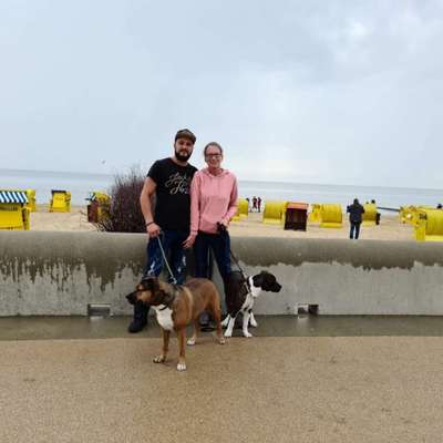 Hundetreffen-Hunderunde