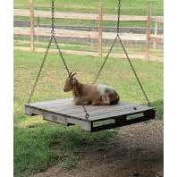 Der perfekte Hundegarten-Beitrag-Bild