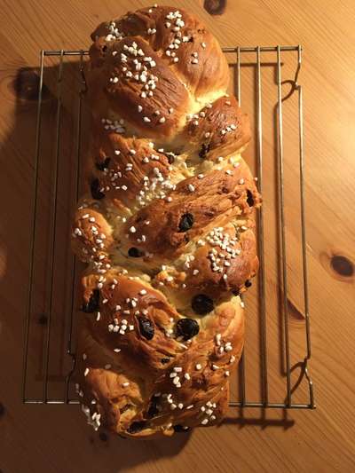 Freddys Kummerkasten-Beitrag-Bild