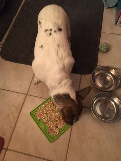 Wie übersteht ihr Silvester?-Beitrag-Bild