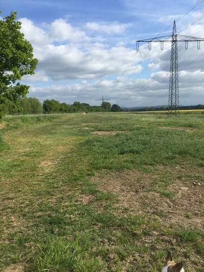 Was hat euch heute genervt?-Beitrag-Bild