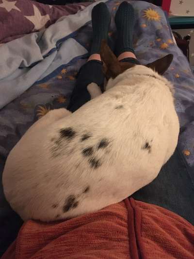 Wie übersteht ihr Silvester?-Beitrag-Bild