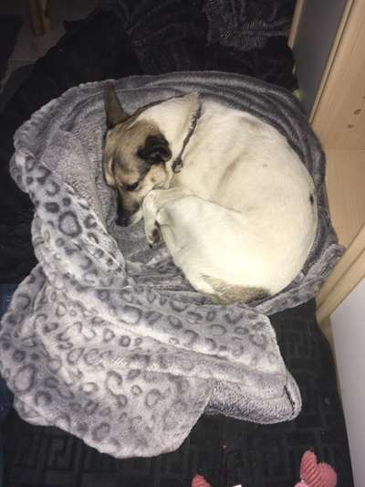 Fotochallange - Eingekugelt-Beitrag-Bild