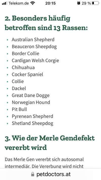 Welche Gefahren stecken hinter den beliebten Sonderfarben? 
Erfahrungen?-Beitrag-Bild
