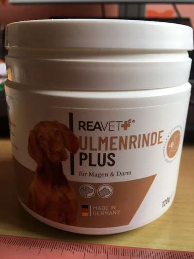 Ulmenrinde wann am besten geben?-Beitrag-Bild