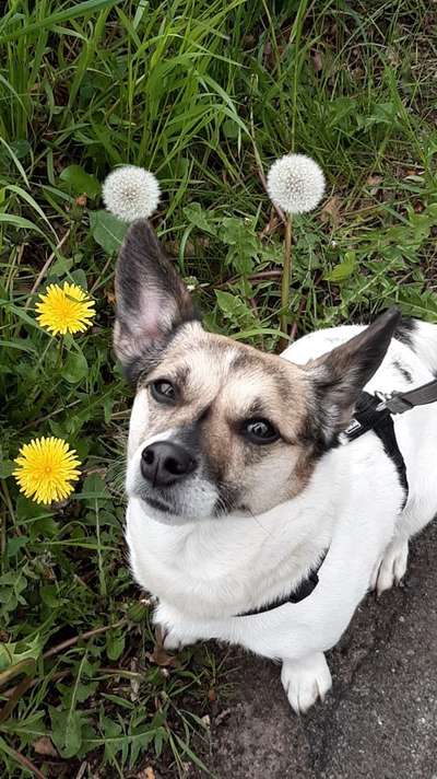 Fotowettbewerb zum Thema "Sonne"-Beitrag-Bild