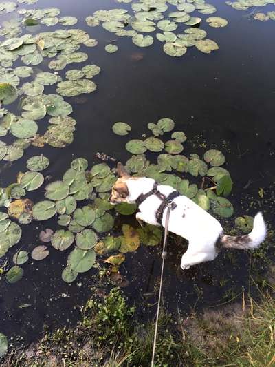 Eure schönsten Fotos mit Wasser-Beitrag-Bild