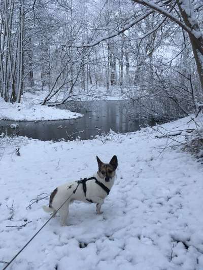 14. Farbenfoto-Challenge "Weiss"-Beitrag-Bild