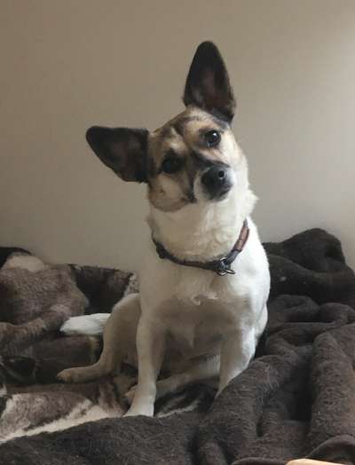 147. Foto Challenge: Bettelblick-Beitrag-Bild