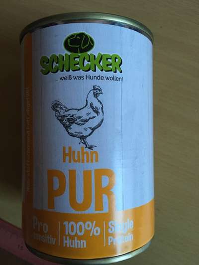 Barf Ersatz im Urlaub-Beitrag-Bild