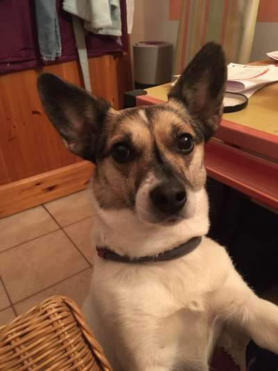 Bettel Blicke-Beitrag-Bild