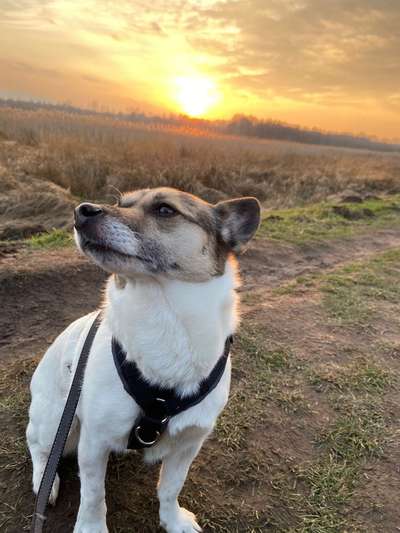 Farben Fotochallenge Sonnenlicht-Beitrag-Bild