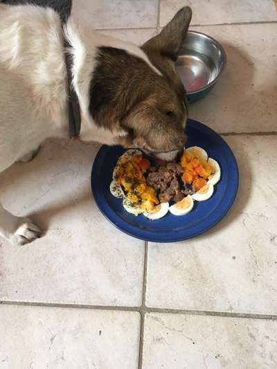 Freddys Kummerkasten-Beitrag-Bild