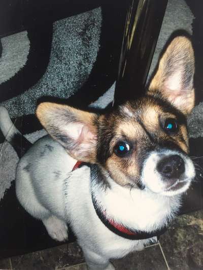 28. Handy-Fotochallenge - Damals und heute-Beitrag-Bild