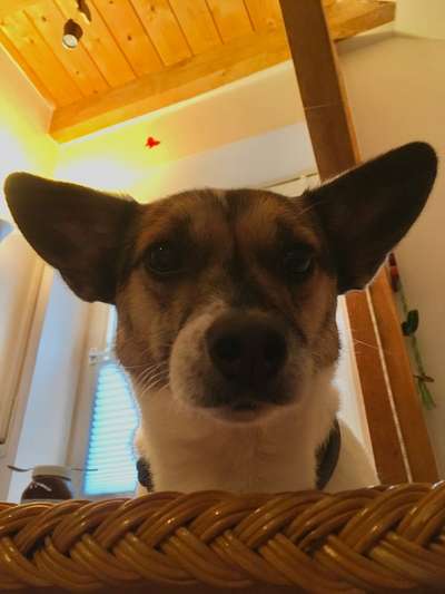 23. Handy Foto-Challenge-Beitrag-Bild