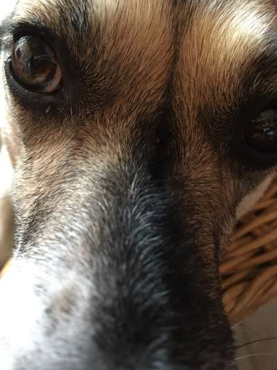 150. Foto Challaenge:  Die Augen, der Spiegel der Seele-Beitrag-Bild