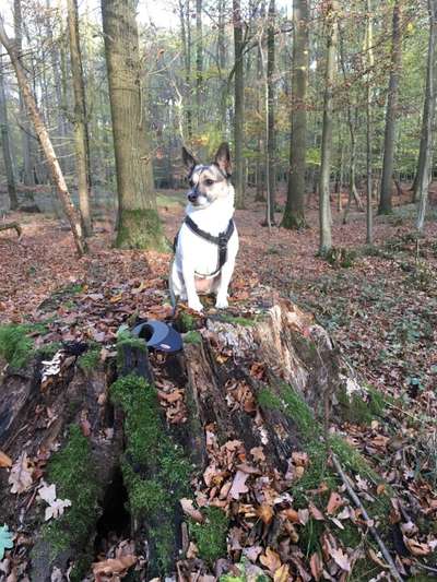 27. Handy Fotochallenge-Beitrag-Bild