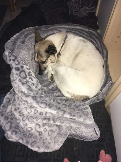 Buddeln auf dem Sofa-Beitrag-Bild