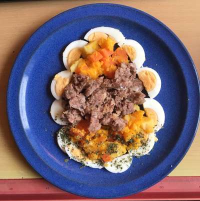 Freddys Kummerkasten-Beitrag-Bild