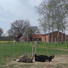 Freddys Kummerkasten-Beitrag-Bild