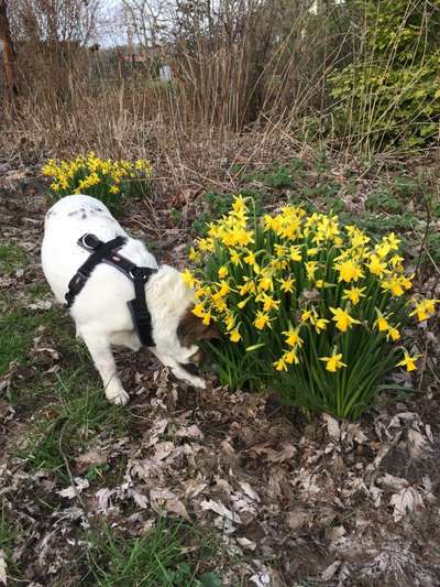 Freddys Kummerkasten-Beitrag-Bild