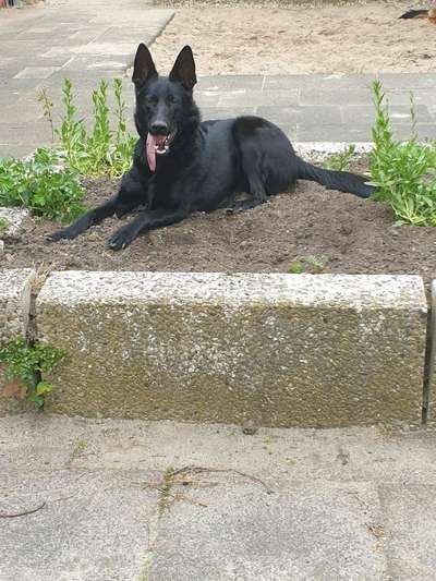 Fotochallenge 78

Es grünt und blüht-Beitrag-Bild