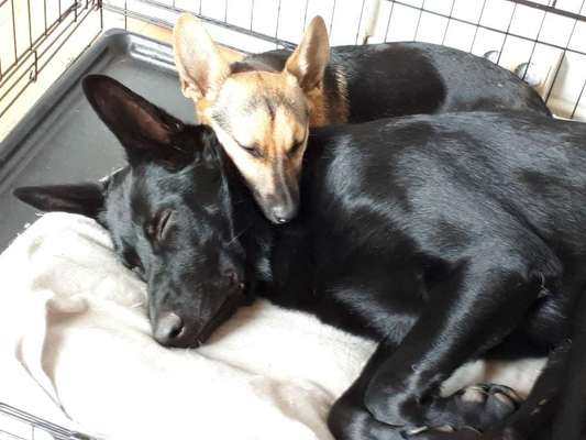 Foto Challenge 82-Beitrag-Bild