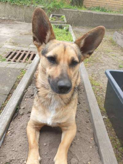 Fotochallenge 78

Es grünt und blüht-Beitrag-Bild